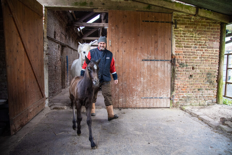 Séance photo équestre – Cavalier et cheval